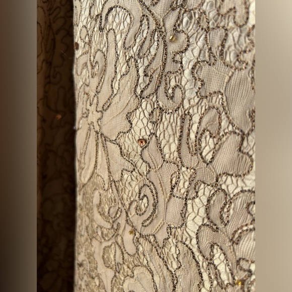 EUC Lafayette148 Silk and Nylon skirt - Size 14 - Picture 3 of 10